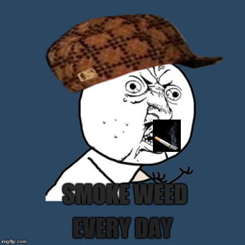 Y U No Meme | EVERY DAY; SMOKE WEED | image tagged in memes,y u no,scumbag | made w/ Imgflip meme maker