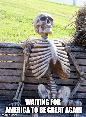 Waiting Skeleton | WAITING FOR AMERICA TO BE GREAT AGAIN | image tagged in memes,waiting skeleton | made w/ Imgflip meme maker