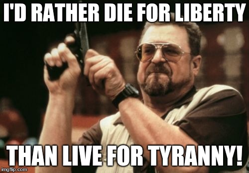 That's how i'd rather go out. | I'D RATHER DIE FOR LIBERTY; THAN LIVE FOR TYRANNY! | image tagged in am i the only one around here,gun control,tyranny | made w/ Imgflip meme maker