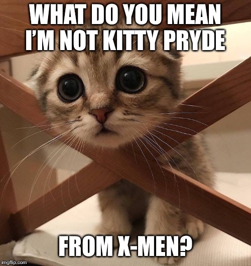 Kitty “Pride” | WHAT DO YOU MEAN I’M NOT KITTY PRYDE; FROM X-MEN? | image tagged in memes,sad kitty,xmen,kitty pryde | made w/ Imgflip meme maker