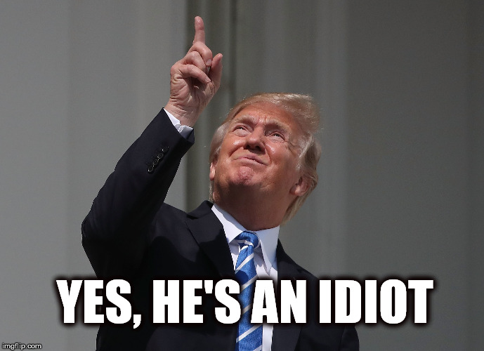 Yes, he's an idiot | YES, HE'S AN IDIOT | image tagged in trump,donald trump,president trump,bad pun trump | made w/ Imgflip meme maker