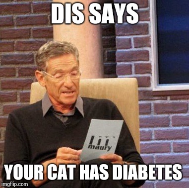 Maury Lie Detector Meme | DIS SAYS; YOUR CAT HAS DIABETES | image tagged in memes,maury lie detector | made w/ Imgflip meme maker