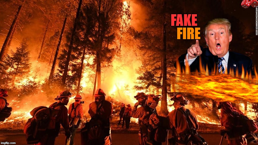 FIRE; FAKE | image tagged in fire trump | made w/ Imgflip meme maker