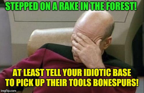 Stepped on a rake!  | STEPPED ON A RAKE IN THE FOREST! AT LEAST TELL YOUR IDIOTIC BASE TO PICK UP THEIR TOOLS BONESPURS! | image tagged in memes,captain picard facepalm,donald trump,rake,forest fire,finland | made w/ Imgflip meme maker