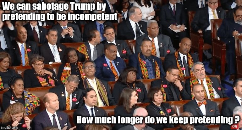 Are they smart enough to pull this off ? | We can sabotage Trump by pretending to be incompetent; How much longer do we keep pretending ? | image tagged in democrats,incompetence,fake people,party of hate | made w/ Imgflip meme maker