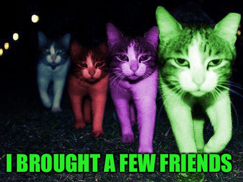 Wrong Neighborhood RayCats | I BROUGHT A FEW FRIENDS | image tagged in wrong neighborhood raycats | made w/ Imgflip meme maker