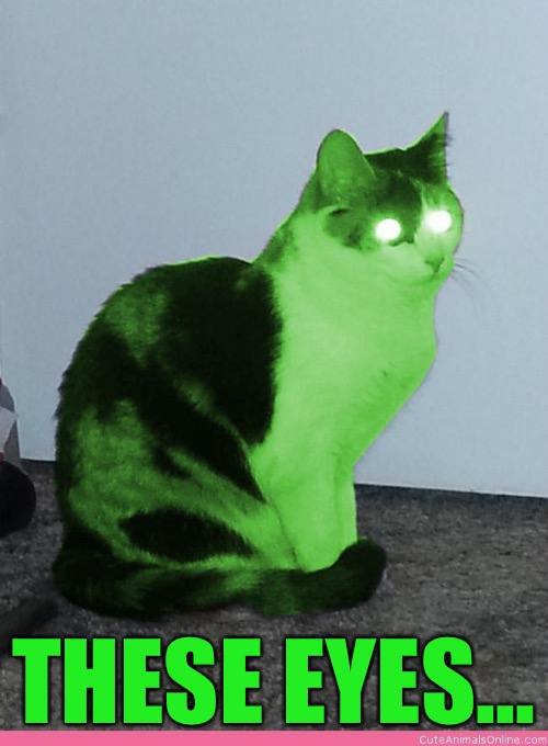 Hypno Raycat | THESE EYES... | image tagged in hypno raycat | made w/ Imgflip meme maker
