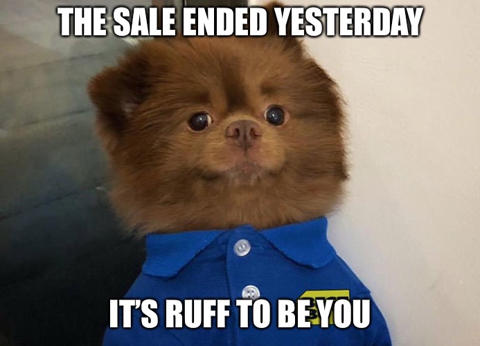 THE SALE ENDED YESTERDAY; IT’S RUFF TO BE YOU | image tagged in memes,best buy,dog | made w/ Imgflip meme maker