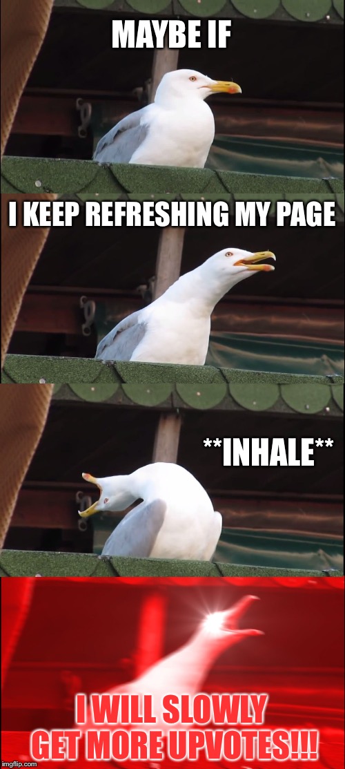 Inhaling Seagull Meme | MAYBE IF; I KEEP REFRESHING MY PAGE; **INHALE**; I WILL SLOWLY GET MORE UPVOTES!!! | image tagged in memes,inhaling seagull | made w/ Imgflip meme maker