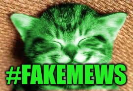 happy RayCat | #FAKEMEWS | image tagged in happy raycat | made w/ Imgflip meme maker