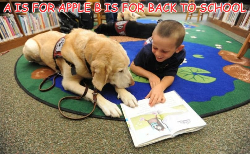 A is for Apple B is for Back to School | A IS FOR APPLE B IS FOR BACK TO SCHOOL | made w/ Imgflip meme maker