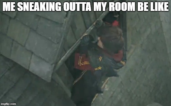 Sneaking Out Without Permission | ME SNEAKING OUTTA MY ROOM BE LIKE | image tagged in harry potter,sneaky | made w/ Imgflip meme maker
