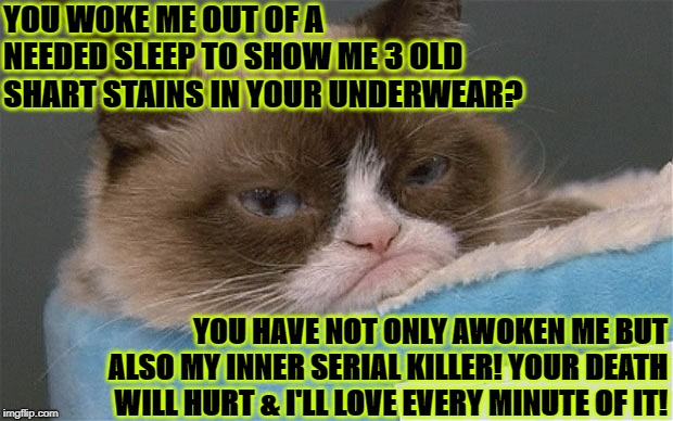 YOU WOKE ME OUT OF A NEEDED SLEEP TO SHOW ME 3 OLD SHART STAINS IN YOUR UNDERWEAR? YOU HAVE NOT ONLY AWOKEN ME BUT ALSO MY INNER SERIAL KILLER! YOUR DEATH WILL HURT & I'LL LOVE EVERY MINUTE OF IT! | image tagged in grumpy cat | made w/ Imgflip meme maker