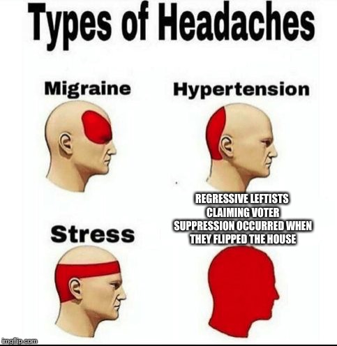 Types of Headaches meme | REGRESSIVE LEFTISTS CLAIMING VOTER SUPPRESSION OCCURRED WHEN THEY FLIPPED THE HOUSE | image tagged in types of headaches meme | made w/ Imgflip meme maker