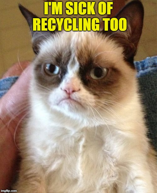 Grumpy Cat Meme | I'M SICK OF RECYCLING TOO | image tagged in memes,grumpy cat | made w/ Imgflip meme maker