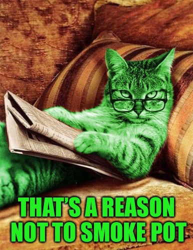Factual RayCat | THAT’S A REASON NOT TO SMOKE POT | image tagged in factual raycat | made w/ Imgflip meme maker