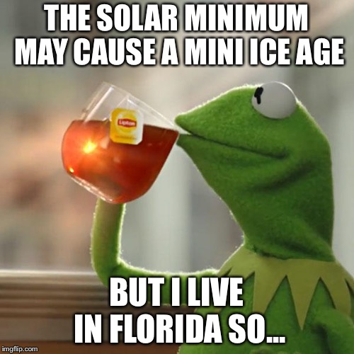 Ice age coming? |  THE SOLAR MINIMUM MAY CAUSE A MINI ICE AGE; BUT I LIVE IN FLORIDA SO... | image tagged in memes,but thats none of my business,kermit the frog,maunder minimum,mini ice age | made w/ Imgflip meme maker