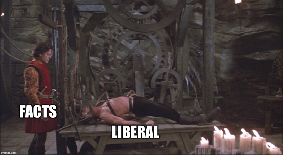 How Do You Torture a Liberal? | LIBERAL; FACTS | image tagged in princess bride torture,memes,funny,political meme | made w/ Imgflip meme maker
