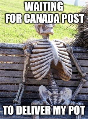 Waiting Skeleton Meme | WAITING FOR CANADA POST TO DELIVER MY POT | image tagged in memes,waiting skeleton | made w/ Imgflip meme maker