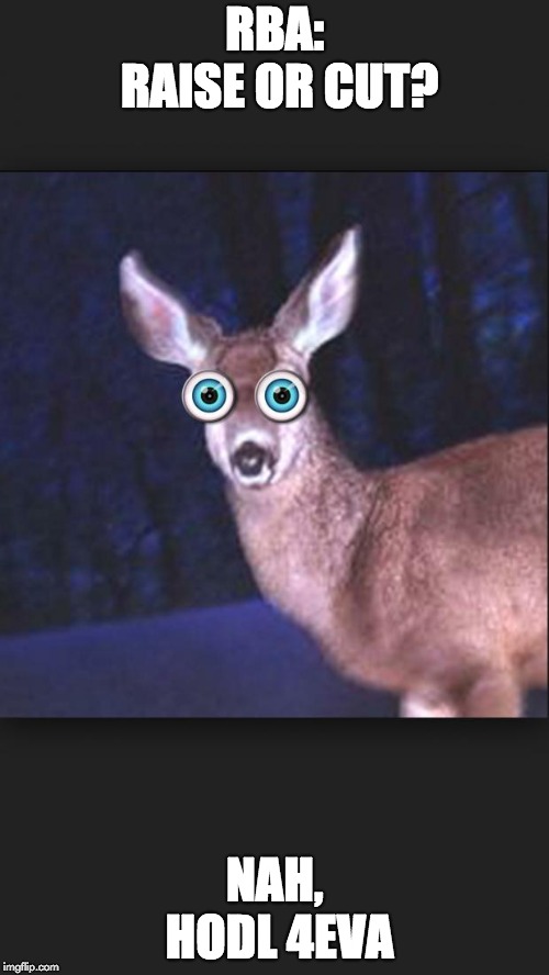 deer in headlights | RBA: RAISE OR CUT? NAH, HODL 4EVA | image tagged in deer in headlights | made w/ Imgflip meme maker