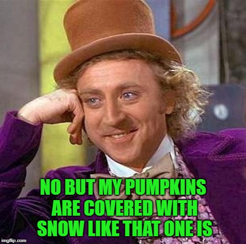 Creepy Condescending Wonka Meme | NO BUT MY PUMPKINS ARE COVERED WITH SNOW LIKE THAT ONE IS | image tagged in memes,creepy condescending wonka | made w/ Imgflip meme maker