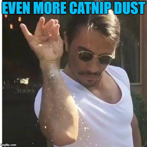 Sprinkle Chef | EVEN MORE CATNIP DUST | image tagged in sprinkle chef | made w/ Imgflip meme maker