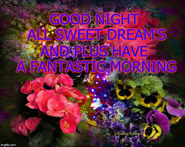 good night
 | GOOD NIGHT ALL SWEET DREAM'S; AND PLUS HAVE A FANTASTIC MORNING | image tagged in good night,morning,flower's,sweet drem's | made w/ Imgflip meme maker