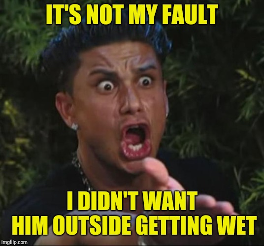 DJ Pauly D Meme | IT'S NOT MY FAULT I DIDN'T WANT HIM OUTSIDE GETTING WET | image tagged in memes,dj pauly d | made w/ Imgflip meme maker