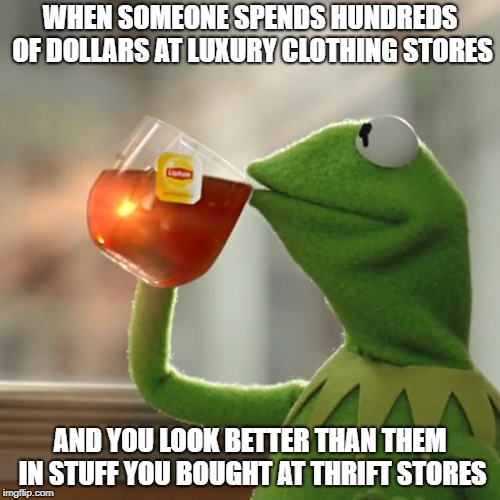 But That's None Of My Business Meme | WHEN SOMEONE SPENDS HUNDREDS OF DOLLARS AT LUXURY CLOTHING STORES; AND YOU LOOK BETTER THAN THEM IN STUFF YOU BOUGHT AT THRIFT STORES | image tagged in memes,but thats none of my business,kermit the frog | made w/ Imgflip meme maker