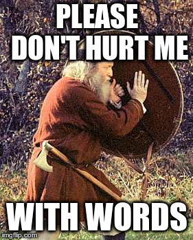 Don't hurt me | PLEASE DON'T HURT ME; WITH WORDS | image tagged in blocking,memes | made w/ Imgflip meme maker