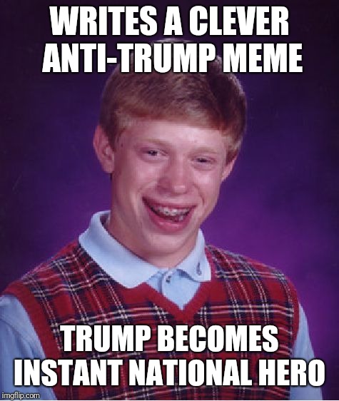 Bad Luck Brian | WRITES A CLEVER ANTI-TRUMP MEME; TRUMP BECOMES INSTANT NATIONAL HERO | image tagged in memes,bad luck brian | made w/ Imgflip meme maker