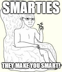Big Brain Wojak | SMARTIES THEY MAKE YOU SMART! | image tagged in big brain wojak | made w/ Imgflip meme maker