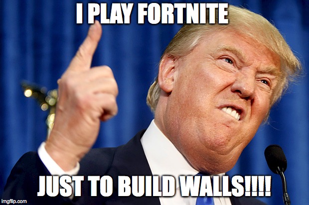 Donald Trump | I PLAY FORTNITE; JUST TO BUILD WALLS!!!! | image tagged in donald trump | made w/ Imgflip meme maker