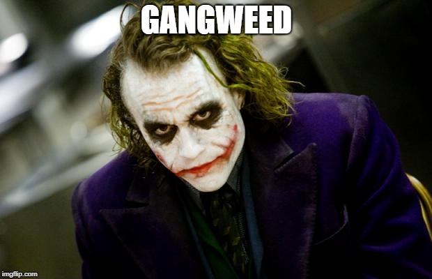 why so serious joker | GANGWEED | image tagged in why so serious joker | made w/ Imgflip meme maker