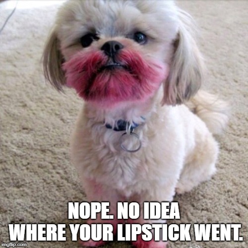 Puppies are just furry toddlers | NOPE. NO IDEA WHERE YOUR LIPSTICK WENT. | image tagged in funny dogs | made w/ Imgflip meme maker