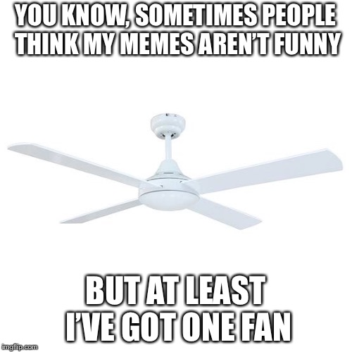 Do you think my memes aren’t funny? | YOU KNOW, SOMETIMES PEOPLE THINK MY MEMES AREN’T FUNNY; BUT AT LEAST I’VE GOT ONE FAN | image tagged in fan | made w/ Imgflip meme maker