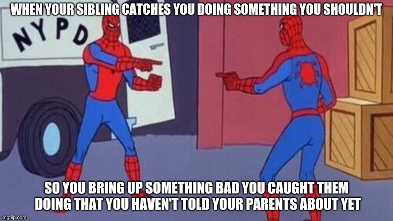 Life with siblings | WHEN YOUR SIBLING CATCHES YOU DOING SOMETHING YOU SHOULDN'T; SO YOU BRING UP SOMETHING BAD YOU CAUGHT THEM DOING THAT YOU HAVEN'T TOLD YOUR PARENTS ABOUT YET | image tagged in spiderman pointing at spiderman | made w/ Imgflip meme maker