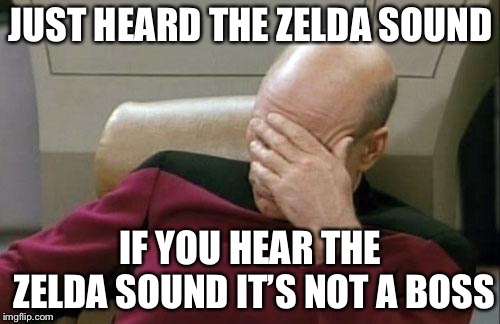 Captain Picard Facepalm Meme | JUST HEARD THE ZELDA SOUND IF YOU HEAR THE ZELDA SOUND IT’S NOT A BOSS | image tagged in memes,captain picard facepalm | made w/ Imgflip meme maker