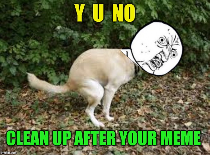Y U NOvember, a socrates and punman21 event  ( inspired by Damon_Knife ) | Y  U  NO; CLEAN UP AFTER YOUR MEME | image tagged in dog pooping,memes,y u november | made w/ Imgflip meme maker