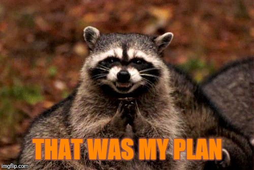 Evil Plotting Raccoon Meme | THAT WAS MY PLAN | image tagged in memes,evil plotting raccoon | made w/ Imgflip meme maker