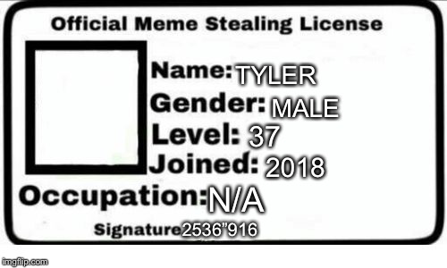 Meme License | TYLER; MALE; 37; 2018; N/A; 2536”916 | image tagged in meme license | made w/ Imgflip meme maker