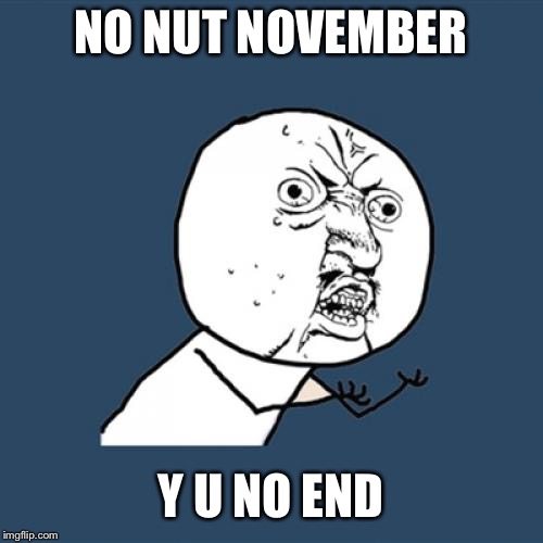 Y U No Meme | NO NUT NOVEMBER; Y U NO END | image tagged in memes,y u no,no nut november,y u november | made w/ Imgflip meme maker