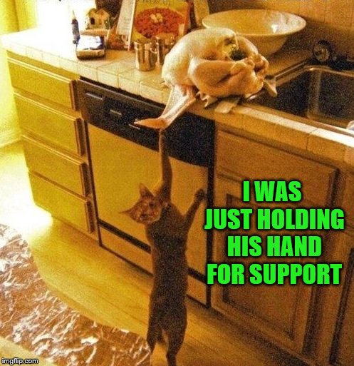 I WAS JUST HOLDING HIS HAND FOR SUPPORT | made w/ Imgflip meme maker