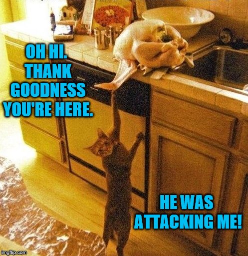 OH HI. THANK GOODNESS YOU'RE HERE. HE WAS ATTACKING ME! | made w/ Imgflip meme maker