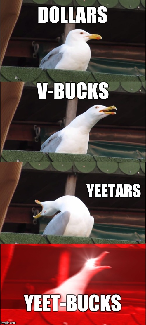 Inhaling Seagull | DOLLARS; V-BUCKS; YEETARS; YEET-BUCKS | image tagged in memes,inhaling seagull | made w/ Imgflip meme maker