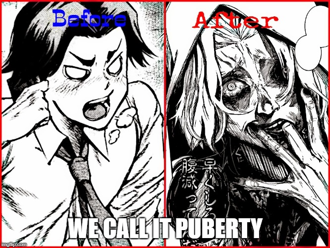 Puberty | WE CALL IT PUBERTY | image tagged in tokyo ghoul,one eyed owls | made w/ Imgflip meme maker