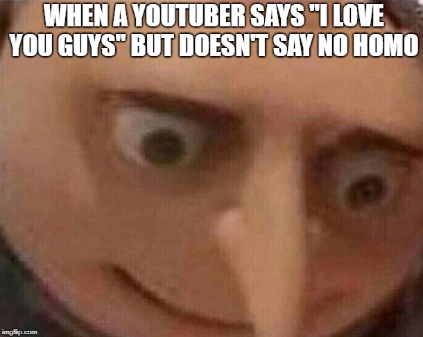 Youtuber I love you guys meme | WHEN A YOUTUBER SAYS "I LOVE YOU GUYS" BUT DOESN'T SAY NO HOMO | image tagged in gru,meme,nohomo | made w/ Imgflip meme maker