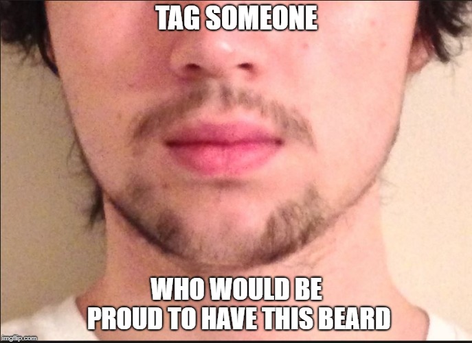 Beard is weird | TAG SOMEONE; WHO WOULD BE PROUD TO HAVE THIS BEARD | image tagged in tag someone,beards | made w/ Imgflip meme maker