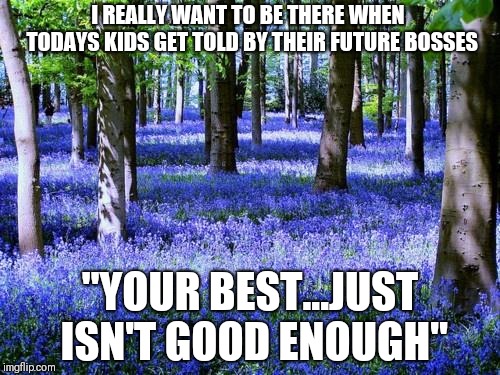 Purple flowers | I REALLY WANT TO BE THERE WHEN  TODAYS KIDS GET TOLD BY THEIR FUTURE BOSSES; "YOUR BEST...JUST ISN'T GOOD ENOUGH" | image tagged in purple flowers | made w/ Imgflip meme maker