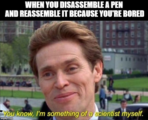 You know, I'm something of a scientist myself | WHEN YOU DISASSEMBLE A PEN AND REASSEMBLE IT BECAUSE YOU'RE BORED | image tagged in you know i'm something of a scientist myself | made w/ Imgflip meme maker